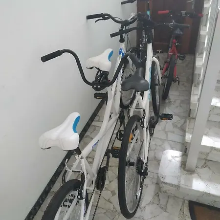 公寓 A Casa Do Lolo 博伊罗