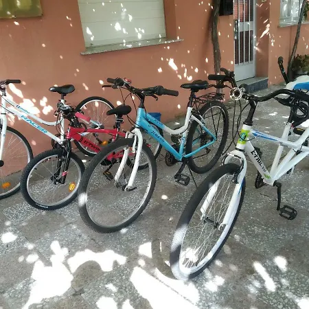A Casa Do Lolo * 博伊罗